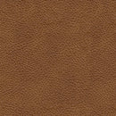 Carianna Loveseat