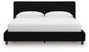Zuraleus Bed